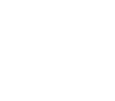 Global Vision